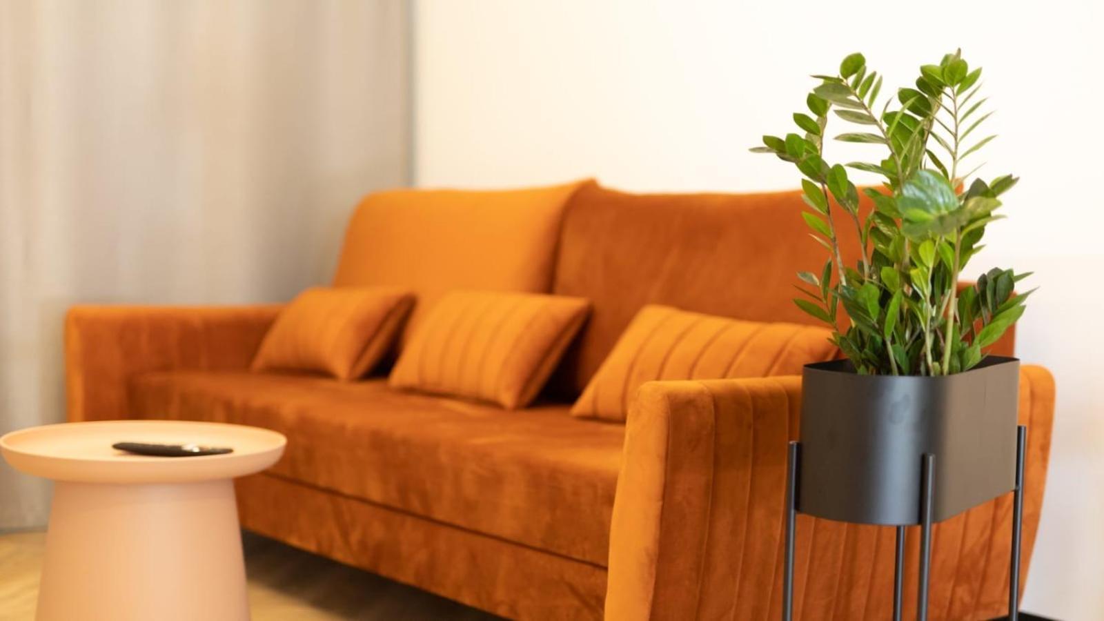 Apartments Abcd Biała Podlaska Dış mekan fotoğraf